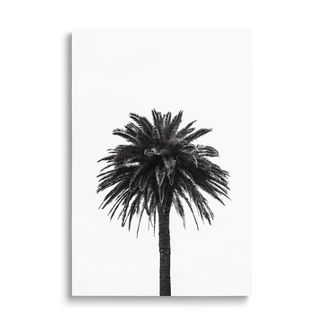 PALM